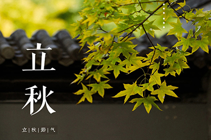 立秋丨别让装修黄金季成为“翻车记”