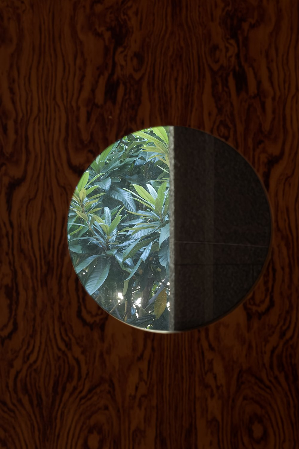640 (9).png