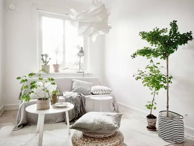 640 (2).jpg